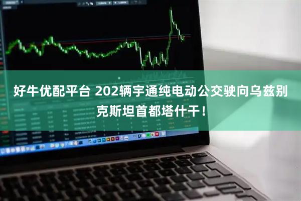 好牛优配平台 202辆宇通纯电动公交驶向乌兹别克斯坦首都塔什干!